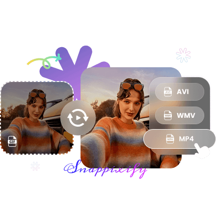 online video converter 
